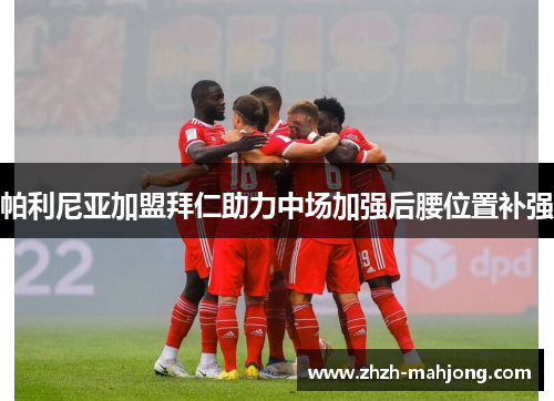 帕利尼亚加盟拜仁助力中场加强后腰位置补强