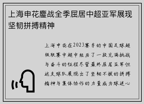 上海申花鏖战全季屈居中超亚军展现坚韧拼搏精神