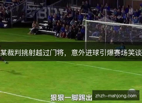 某裁判挑射越过门将,意外进球引爆赛场笑谈 某裁判挑射越过门将,意外进球引爆赛场笑谈